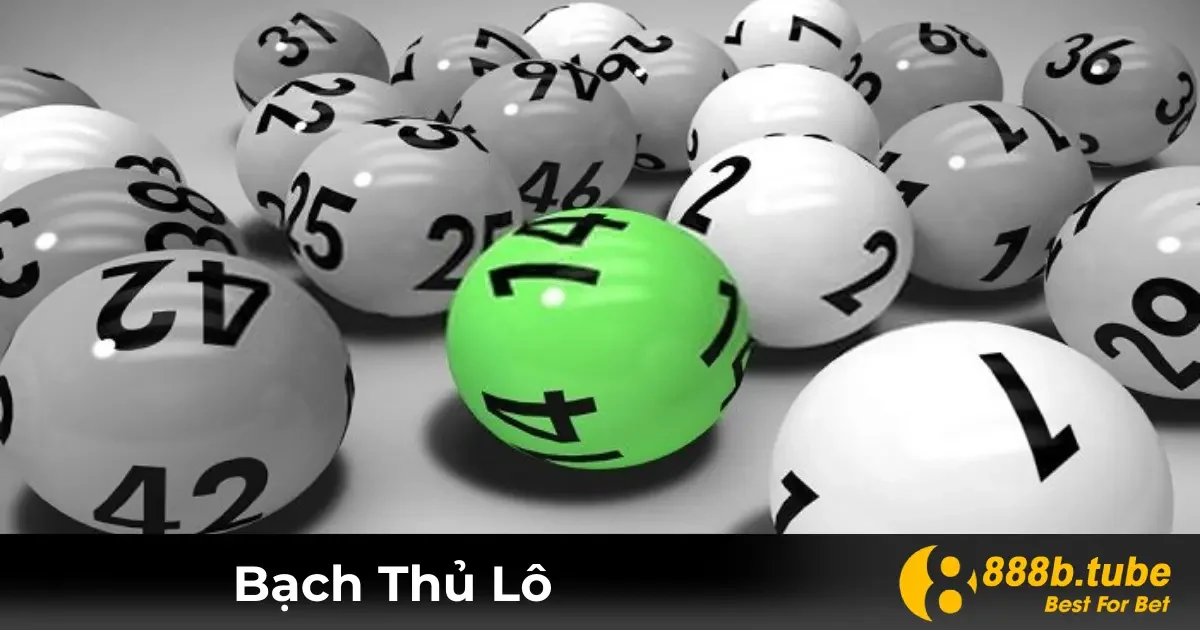 Bạch Thủ Lô Là Gì? Ý Nghĩa Trong Cá Cược Lô Đề