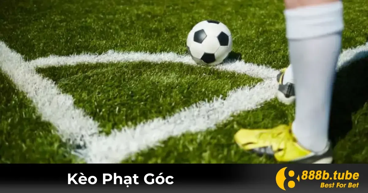 Kèo Phạt Góc Là Gì? Các Loại Kèo Thông Dụng